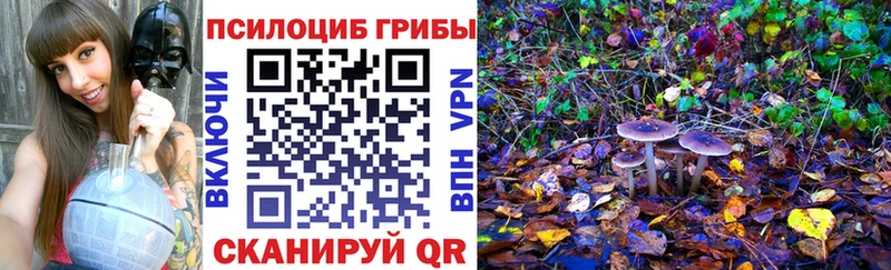 купить закладку  Нелидово  Псилоцибиновые грибы Psilocybine cubensis 